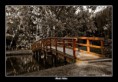 /album/priroda/park-nitra-jpg/